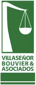 Villaseñor Bouvier & Asociados